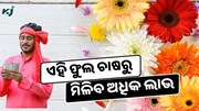 ବଢିଛି ଚାହିଦା, ଚାଷ କରି ହୁଅନ୍ତୁ ଲାଭବାନ