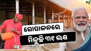 ଗୋପାଳନରେ ମିଳୁଛି ୩୧ ଲକ୍ଷ ଟଙ୍କା, ଶୀଘ୍ର କରନ୍ତୁ ଆବେଦନ ନ ହେଲେ ରହିଯିବେ ପଛରେ 