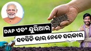 DAP ଏବଂ ୟୁରିଆରେ ମିଳିବ ସବସିଡି, ନୂତନ ସାର କାରଖାନା ପାଇଁ ପ୍ରସ୍ତୁତ ସରକାର 