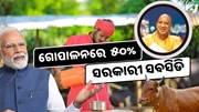 ଗୋପାଳନରେ ମିଳୁଛି ୫୦ ପ୍ରତିଶତ ସବସିଡି, ଅକ୍ଟୋବର ୨୫ ପୂର୍ବରୁ କରନ୍ତୁ ଆବେଦନ 