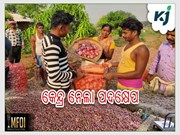 ପିଆଜ ରପ୍ତାନୀରେ ସରକାରଙ୍କ ବଡ଼ ପଦକ୍ଷେପ 