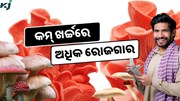 Pink Mushroom: କମ ସମୟ ଏବଂ କମ୍ ଖର୍ଚ୍ଚରେ ଅଧିକ ରୋଜଗାର 