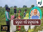 Kisan Credit Card: ସରକାର ଦେଲେ ଗୁରୁତ୍ୱପୂର୍ଣ୍ଣ ସୂଚନା