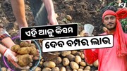Potato Farming: ଏହି ଆଳୁ କିସମ ଦେବ ବମ୍ପର ଲାଭ