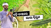 ଏହି ଚାଷରେ କମ ଖର୍ଚ୍ଚ, ଲାଭ ଅଧିକ 
