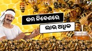 କରନ୍ତୁ ଏହି ଚାଷ, ଦ୍ବିଗୁଣ ହେବ Income 