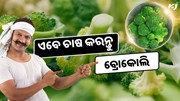 ଏବେ ଚାଷ କରନ୍ତୁ ବ୍ରୋକୋଲି, ଯାହା ଆପଣଙ୍କୁ ଦେବ ଦ୍ଵିଗୁଣ ଲାଭ