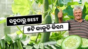 ଏହି ୫ଟି କିସମର କାକୁଡିରେ ପ୍ରବଳ ଲାଭ, ଚାଷୀ ହେଉଛନ୍ତି ଧନୀ 