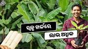 ୧.୫୦ ଲକ୍ଷରେ ଆରମ୍ଭ ବ୍ୟବସାୟ, ପ୍ରତିମାସ ରୋଜଗାର ୬୦ ହଜାର