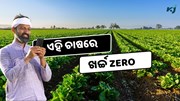 ଏହି ଚାଷରେ ଖର୍ଚ୍ଚ Zero, ଅମଳ ହେଉଛି ଦ୍ଵିଗୁଣ 