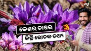 ଜାଣନ୍ତୁ କେଶର ଚାଷ ସହ ଜଡ଼ିତ ରୋଚକ ତଥ୍ୟ, କିପରି ହେବ ଭଲ Income ?