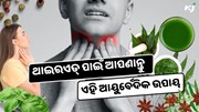ଥାଇରଏଡ୍ ପାଇଁ ଆପଣାନ୍ତୁ ଏହି ଆୟୁର୍ବେଦିକ ଉପାୟ, କିଛି ଦିନରେ ଦେଖାଯିବ Changes  