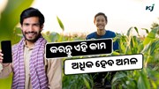 ଧାନ ଜମିରେ କିପରି କରିବେ  Weed Control ?