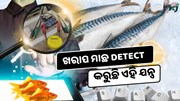 ଖରାପ ମାଛ Detect କରିବା ଏବେ ସହଜ, ଅନେକ ରୋଗରୁ ମିଳିବ ରକ୍ଷା 