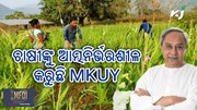 MKUY Scheme : ମୁଖ୍ୟମନ୍ତ୍ରୀ କୃଷି ଉଦ୍ୟୋଗ ଯୋଜନା