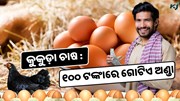 କରନ୍ତୁ ଏହି କୁକୁଡ଼ା ଚାଷ, ୧୦୦ ଟଙ୍କାରେ ବିକ୍ରି ହେଉଛି ଗୋଟିଏ ଅଣ୍ଡା 