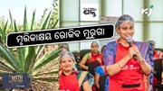 ଚାଷ ଜମିରେ ମୃତ୍ତିକା କ୍ଷୟ ରୋକିବ " ମୁରୁଗା ଗଛ "