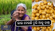 Thuri potato: ଠୁରି ଆଳୁ, କିଲୋ ୧୦୦ ଟଙ୍କା