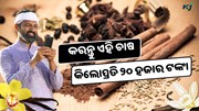 Vanilla: ୨୦ ହଜାର ଟଙ୍କା ପ୍ରତି କିଲୋରେ ବିକ୍ରି ହେଉଛି ଏହି ଫସଲ, ଜାଣନ୍ତୁ କିପରି କରିବେ ଚାଷ ?