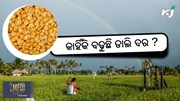 Pulses Price: କାହିଁକି ବାରମ୍ବାର ବଢୁଛି ଡାଲି ଦର ?