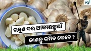 Garlic: କନ୍ଦାଉଛି ରସୁଣ ଦର, ଜାଣନ୍ତୁ କେବେ କମିବ ?