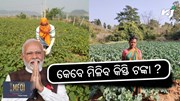 Namo Shetkari Yojana: କେବେ ମିଳିବ କିସ୍ତି ଟଙ୍କା ? 