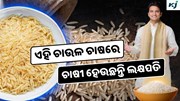 Basmati Rice: ଚାଷ କରନ୍ତୁ ଏହି ଚାଉଳ, କିଲୋ ପ୍ରତି 150 ଟଙ୍କାରେ ହେଉଛି ବିକ୍ରି 