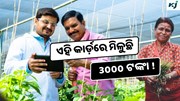 e-Shram Card: ଆବେଦନ କରନ୍ତୁ ଏହି କାର୍ଡ଼, ମିଳୁଛି 3000 ଟଙ୍କା !