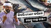  Rohu Farming: ଜାଣନ୍ତୁ କିପରି କରିବେ ରୋହୁ ମାଛ ଚାଷ ? 