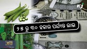 Profitable Farming: ଖରାଟିଆ ଜହ୍ନି ଚାଷକରି କମାନ୍ତୁ ଟଙ୍କା