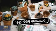 Gardening Tips: ନିଜ ଘରେ ହିଁ ପ୍ରସ୍ତୁତ କରନ୍ତୁ କୋକୋପିଟ୍