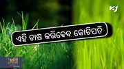 Grass farming: ଏହି ଘାସ ଚାଷ କୃଷକଙ୍କୁ କରିଦେବ କୋଟିପତି