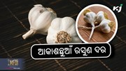 Garlic price: ୫୫୦ ଉପରେ ପହଞ୍ଚିଲା ରସୁଣ ଦର