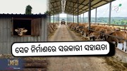 Animal Husbandry Scheme: ସେଡ ନିର୍ମାଣ ପାଇଁ ସରକାର ଦେବେ ୭୦ ଲକ୍ଷ 