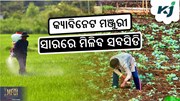 Cabinet Big Decision: ସାର ସବସିଡିକୁ କ୍ୟାବିନେଟ୍ ମଞ୍ଜୁରୀ 