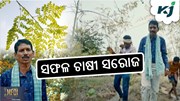 ଆଦର୍ଶ ଚାଷୀ: ନୂଆପଡ଼ା ଜିଲ୍ଲାର ସରୋଜ ପାଣିଗ୍ରାହୀ
