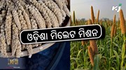 MILLETS MISSION: କାହିଁକି ହେଲା ଫେମସ ?