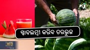 Watermelon Farming: କମ ଖର୍ଚ୍ଚ , ଅଧିକ ଅମଳ 
