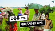 Rainfall: ନିମ୍ନଧରଣର ବର୍ଷା ସତ୍ତ୍ୱେ ବଢ଼ିଛି ଖରାଦିନିଆ ଚାଷ