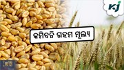 Wheat Price: ଜାଣନ୍ତୁ ଗହମ ଦର, କେଉଁଠି କେତେ ?
