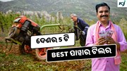 Power tillers: ଦେଶର 5 ଟି Best ପାୱାର ଟିଲର, ହେଉଛି ଅଧିକ ଲାଭ 
