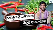 Chilli: ବଜାରରେ ଭଲ ଦାମରେ ବିକ୍ରୀ ହେଉଛି ଏହି ଲଙ୍କା, କରନ୍ତୁ ଚାଷ 