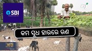 SBI LOAN SCHEME: ଛେଳି ଚାଷପାଇଁ ଦେବ ଲୋନ 