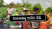 PM kisan Scheme: ଏହି ଦିନ ଚାଷୀଙ୍କୁ ମିଳିବ କିସ୍ତି ରାଶି 