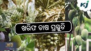 ଖରିଫ ଫସଲ : ଜାଣନ୍ତୁ କପରି କରିବେ ଖସଡା ପ୍ରସ୍ତୁତି ?
