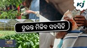 CDP-SURAKSHA Portal: ଏଥର ତୁରନ୍ତ ମିଳିବ ସବସିଡି 
