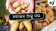 Potato Price Hike: କଲବଲ କଲାଣି ଆଳୁ ଦର