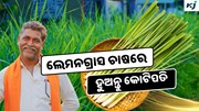 Lemongrass: ଲେମନଗ୍ରାସ ଚାଷରେ ମିଳୁଛି ପ୍ରବଳ ଲାଭ 