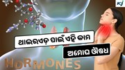 Thyroid: କରନ୍ତୁ ଏହି କାମ, କେବେବି ହେବ ନାହିଁ ଥାଇରଏଡ଼ 