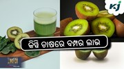Kiwi Farming : ଏହି ଚାଷରେ ମିଳିବ ପ୍ରବଳ ରୋଜଗାର 